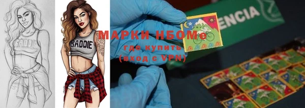 прущие грибы Алзамай