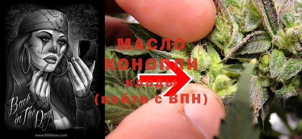 прущие грибы Алзамай