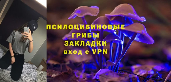прущие грибы Алзамай